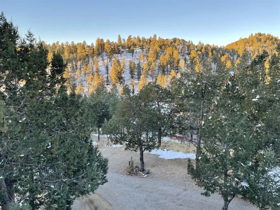 Perk Canyon Hidden Acres-Hot Tub-Gas Fireplace ルイドソ エクステリア 写真