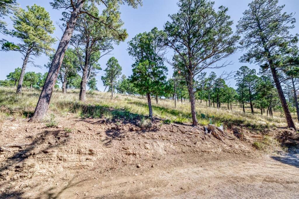 Perk Canyon Hidden Acres-Hot Tub-Gas Fireplace ルイドソ エクステリア 写真
